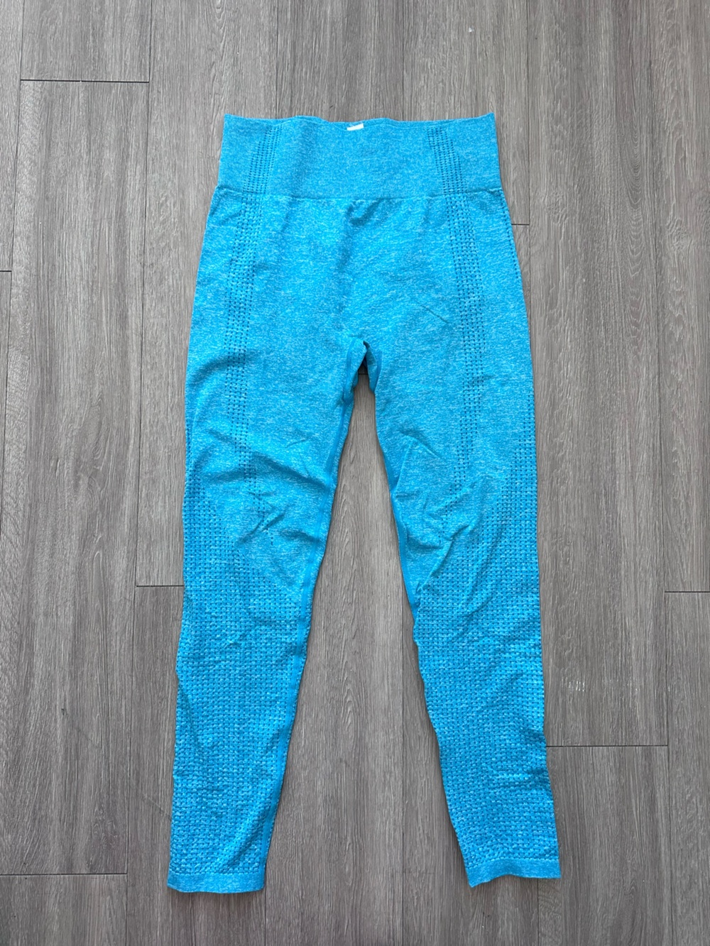 Women's Seamless Aqua Blue Gym Shark Dupe Leggings
